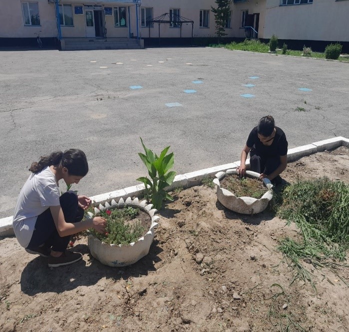 Мектеп ауласындағы гүлдердің, ағаштардың арам шөптерін жұлып тазалау.
