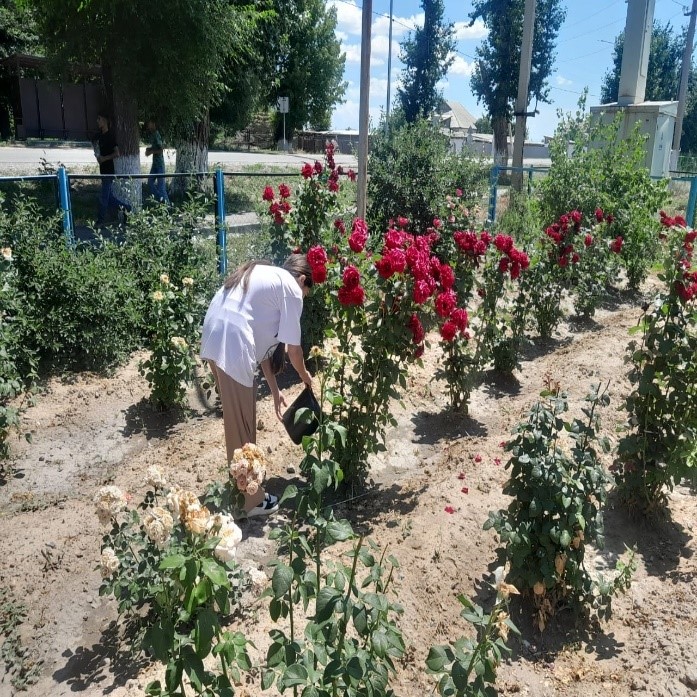 Мектеп ауласындағы гүлдерге су құю