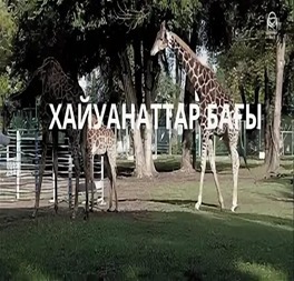 "Хайуанаттар бағы"  тақырыбында іс-шаралар ұйымдастырылды.